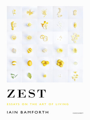 cover image of Zest